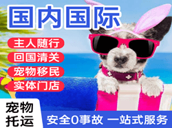 金昌空运国际宠物托运 【国